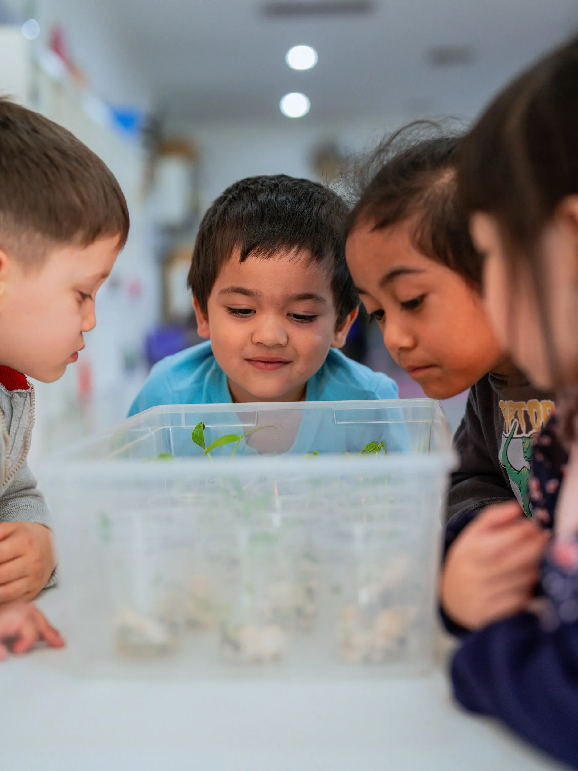 Children learning with educator at Kinderworld Early Learning Centre Noble Park